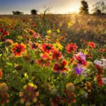 shutterstock_195922910