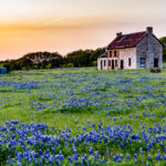 shutterstock_485752969