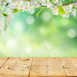 spring for bulletins