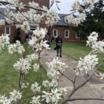 dogwood at faith